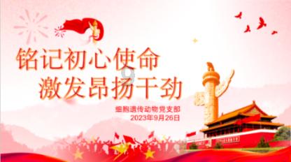 植物大战僵尸13